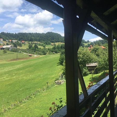 B&B Cerne Polhov Gradec Extérieur photo