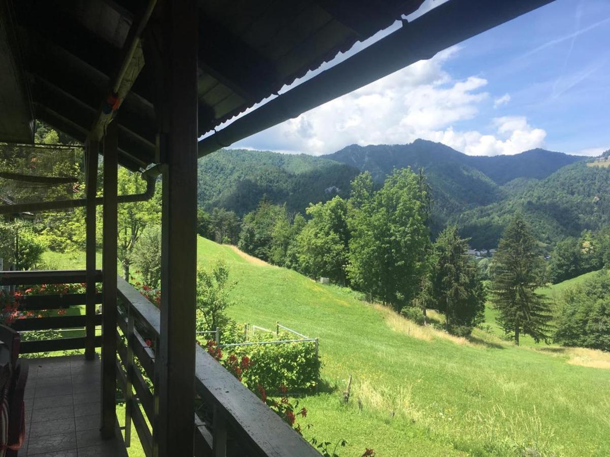 B&B Cerne Polhov Gradec Extérieur photo