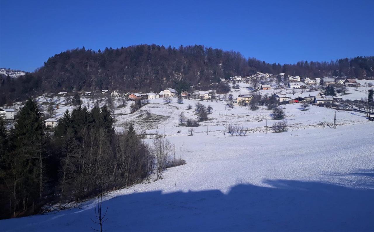 B&B Cerne Polhov Gradec Extérieur photo