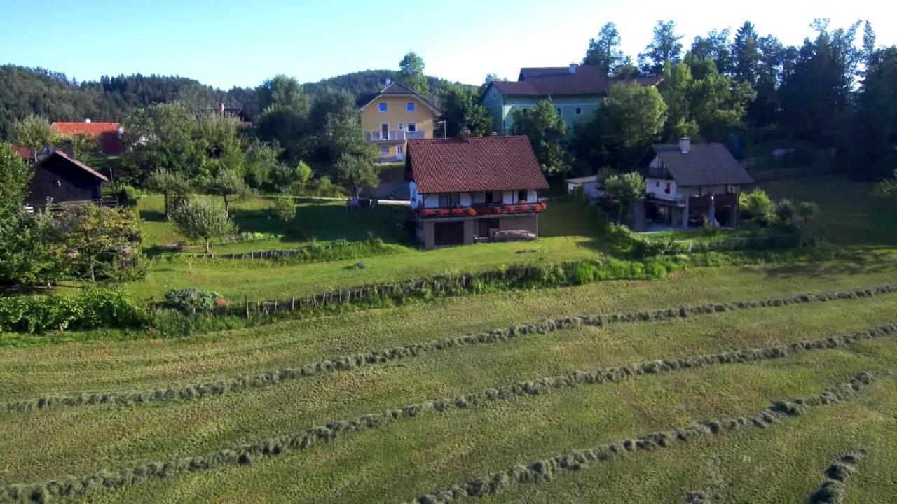 B&B Cerne Polhov Gradec Extérieur photo