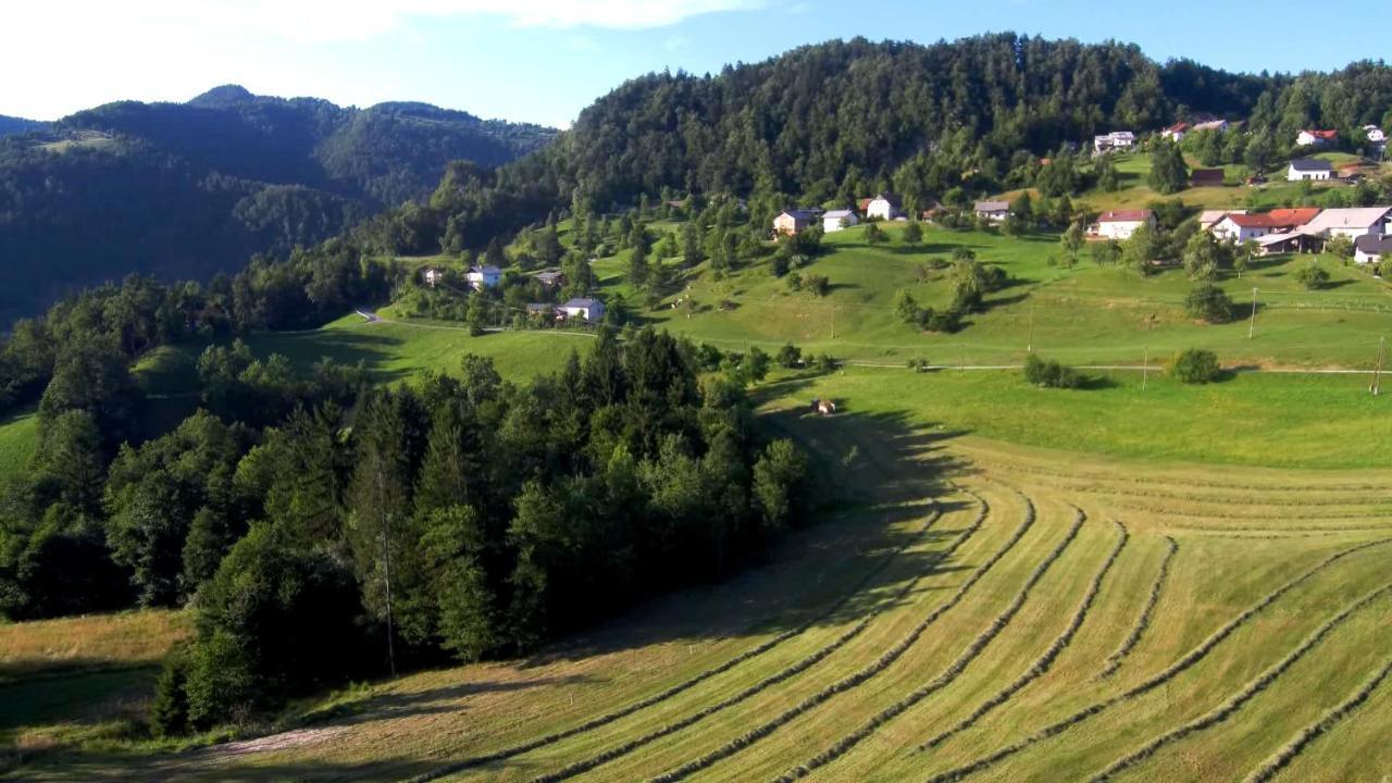 B&B Cerne Polhov Gradec Extérieur photo